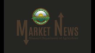 Daily Market Report November 14 2024 [upl. by Addy731]