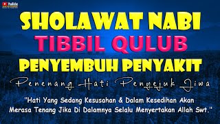 Sholawat SyifaTibbil Qulub Merdu Terbaru Sholawat Nabi Penyembuh Sakit Penyejuk Hati Penenang Jiwa [upl. by Cestar933]