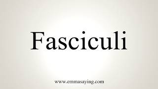 How To Pronounce Fasciculi [upl. by Eceeryt]