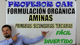 AMINAS PRIMARIAS SECUNDARIAS y TERCIARIAS FORMULACIÓN ORGÁNICA😲 SER un GENIO SIN ESTUDIAR 👌 [upl. by Ikoek]