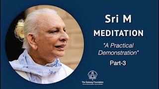 Sri M  Meditation A Practical Demonstration  Part 33 [upl. by Alcina236]