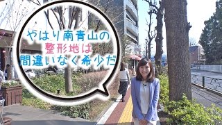 やはり南青山の整形地は間違いない。。いま羨望の地に君がいる …ドローンは青春だ！ [upl. by Anitnatsnoc]