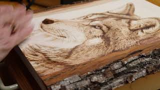 Understanding Typical Woodburning Mistakes [upl. by Neufer]