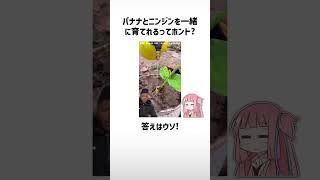 食べ物関する面白い雑学part430【琴葉茜琴葉葵】shorts [upl. by Dranyar]