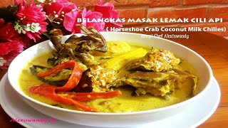 Enak sekali BELANGKAS MASAK LEMAK CILI API  Horseshoe Crab Coconut Milk  Resepi chef Alexiswandy [upl. by Assetan]