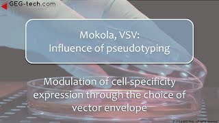 VSV Mokola Influence of pseudotyping in lentiviral vectors expriments [upl. by Sukey715]