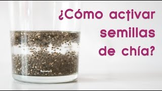 ¿Cómo activar las semillas de Chía [upl. by Ehav]