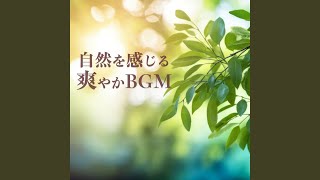 仙台川 feat ALL BGM CHANNEL [upl. by Eerual]