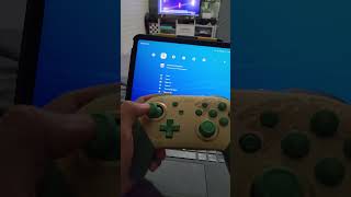 RetroArch on the iPad connected to the Nintendo switch pro controller Zelda TOTK edition [upl. by Vasyuta]