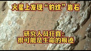 火星上发现“豹纹”岩石，研究人员狂喜：很可能是生命的痕迹 [upl. by Bottali72]