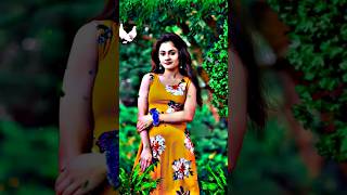 Bhalobashi Tomay Se Ki Bola Jai 💚 Bangla Gaan 🍀 হিট গান 🌼 Bengali Song🌹বাংলা গান 🌺 Bangla Song [upl. by Lowis667]