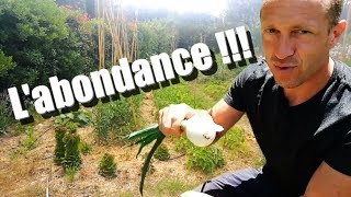 Labondance au potager [upl. by Pich]