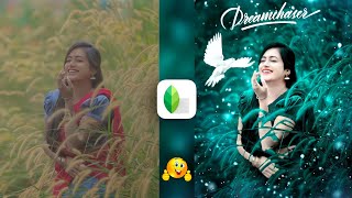 Snapseed Green And Bird Effect Photo Editing Tutorial  Snapseed Background Colour Change Tricks [upl. by Ardnikal]