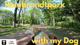 4K Amsterdam Rembrandtpark  Cargobike  Dog  POV GoPro12 [upl. by Enahpad]