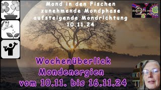 Wochenüberblick der Mondenergien vom 1011 bis 161124 [upl. by Silvio924]