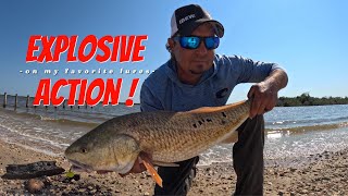 Explosive Redfish Action This lure finds them evertime [upl. by Halladba]