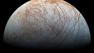 A Detection of Life on Europa And an Enceladus Update for 032017 [upl. by Domph566]