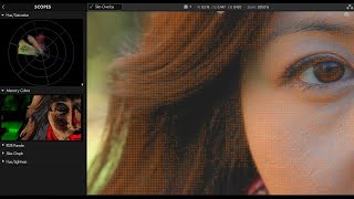 Identifying Skin Tone in Magic Bullet Looks [upl. by Leonerd522]