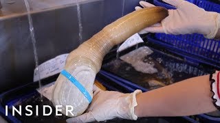 We Tried Geoduck — Worlds Biggest Burrowing Clam [upl. by Narot]