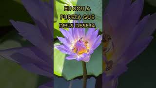 Transforme Sua Energia com o Poder do Mantra da Chama Violeta mudancaspositivas [upl. by Airdnaed]