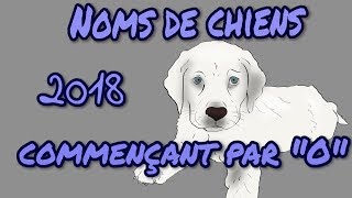 🐕🐶 Idées noms de chiens 2018 commençant par quotOquot 🐕🐶 [upl. by Noynek]