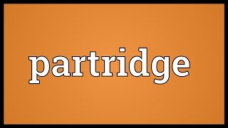 Partridge Meaning [upl. by Risley]