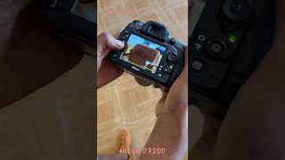 Nikon D7200 camera test with 70200 lense cameratest nikond7200 nikon [upl. by Rooker]