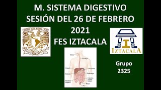 M Sistema Digestivo Sesión del Viernes 26 de Febrero del 2021 [upl. by Alake]