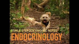 Endocrinology UWORLD High Yield Audio Lecture Review Notes for USMLE STEP 2CK [upl. by Lsiel]