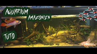 TUTO Aquarium 120 L Amazonien [upl. by Alicia]