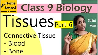 Tissues class 9 Biology Part6 [upl. by Chrissy]