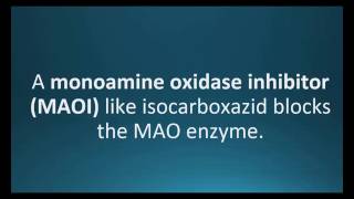 monoamine oxidase inhibitor Pharmcabulary for Memorizing Pharmacology Chapter 5 Neuro Flashcard [upl. by Frentz]