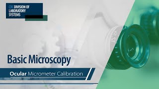 Basic Microscopy – Ocular Micrometer Calibration [upl. by Luebke]