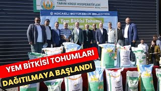 YEM BİTKİSİ TOHUMLARI DAĞITILMAYA BAŞLANDI [upl. by Meris]