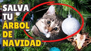 Cómo EVITAR que tu gato ATAQUE el ÁRBOL DE NAVIDAD 🎄 [upl. by Lletnwahs235]