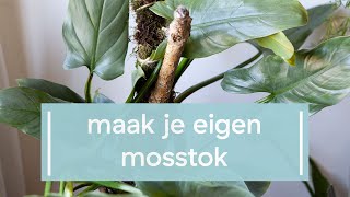 Zo bind je je klimplant op en maak je je eigen mosstok [upl. by Wharton]