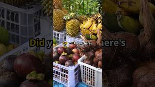 Top 5 Fruits for Digestive Health [upl. by Modestine]