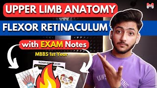 Upper Limb Anatomy  Flexor Retinaculum  MBBS 1st Year  Full Explanation With Notes  MBBS World [upl. by Allegra]