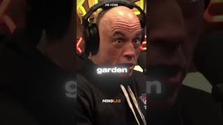 Joe Rogan Reacts To A Bear With Tapeworm😨 [upl. by Nibor]