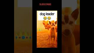 Dog attack 😂😂 funny trending funny ytshorts funnymemes [upl. by Katheryn826]