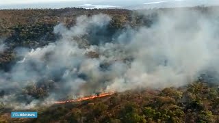 Nog nooit stond er zoveel Braziliaans regenwoud in brand  RTL NIEUWS [upl. by Yltsew]