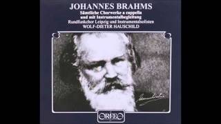 Brahms Waldesnacht du wunderkuhle from Heyses Jungbrunnen [upl. by Tedie]