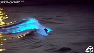 Bioluminescent waves Surfers ride glowing waters off San Clemente San Diego coasts  ABC7 [upl. by Yssirhc]