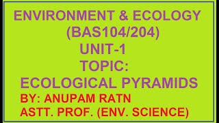 ECOLOGICAL PYRAMIDS [upl. by Daisi]