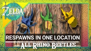 All Rhino Beetles in One Location  Tears of the Kingdom [upl. by Jaunita]