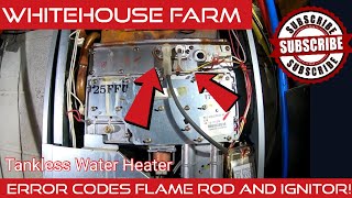 Flame Rod amp Ignitor Rinnai Tankless Water Heater Code 12 Fix DIY [upl. by Wenger923]