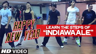 OFFICIAL Learn India Waale DANCE STEPS with Shahrukh Khan  Happy New Year [upl. by Aratehs]