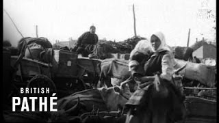 Turkish Troops amp Civilian Refugees In Balkan War 1912 [upl. by Selegna]