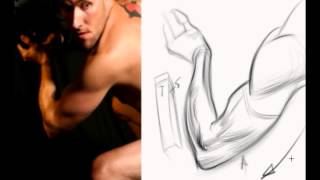 How to Draw an Arm [upl. by Hgielram141]