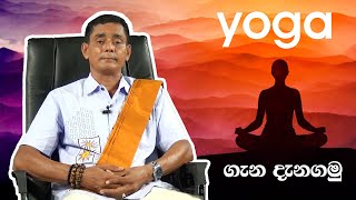 yoga sinhala l යෝගා මුලසිට ඉගෙන ගනිමු l Ruwan weeraratna [upl. by Aivon]